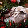 Je sais bien que j’ai un peu de retard dans mes billets, mais je ne vais pas vous parler du jour de Noël (Les cadeaux, la dinde, la bûche au...