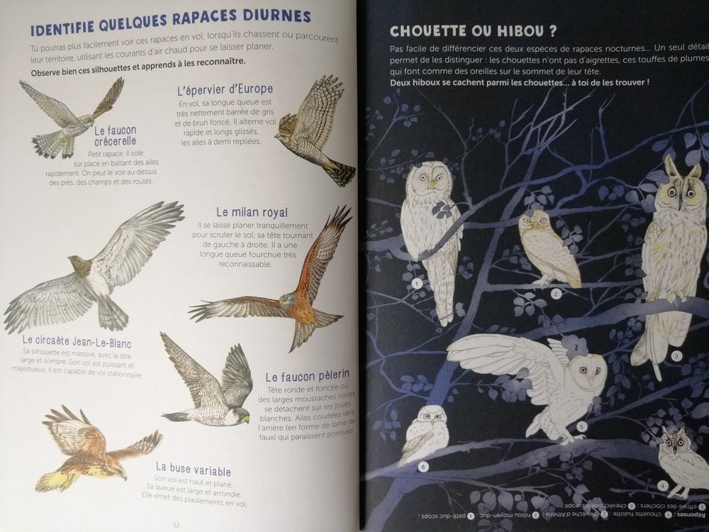 Mon cahier d'observation et d'activités - Les oiseaux